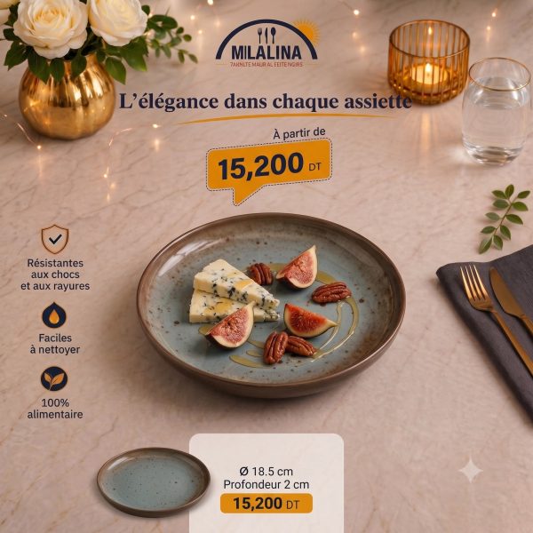 FB_IMG_1784207236971 Assiette creuse effet céramique