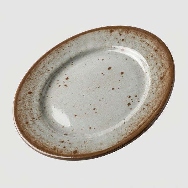Plate_reproduction_on_grey_backg…_202608051220 Assiette plate ronde émaillé rustique (Ø23 cm)